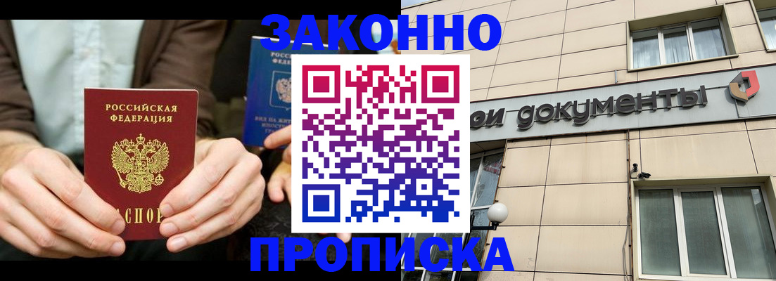 прописка поиск в Невеле